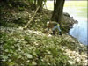 My Gallery: Image
